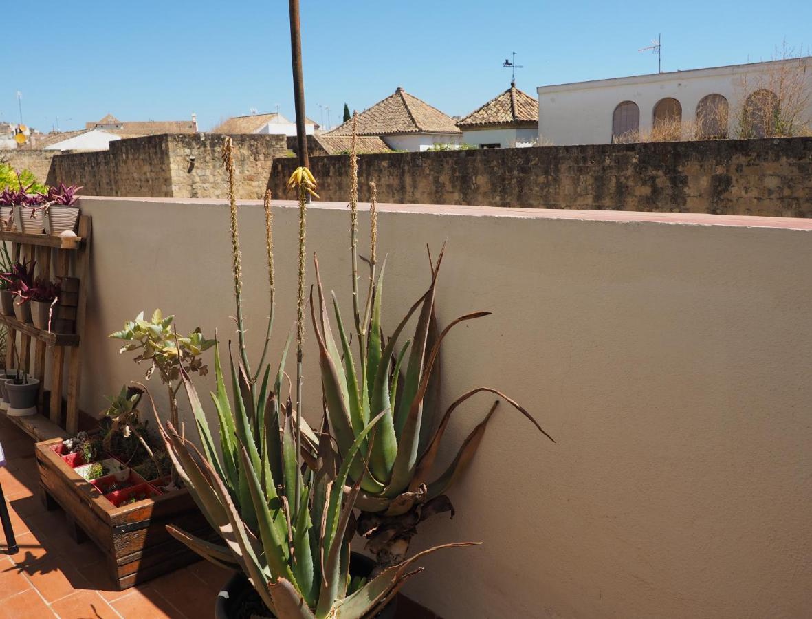 Apartamento En Juderia La Murallita Cordoba Luaran gambar